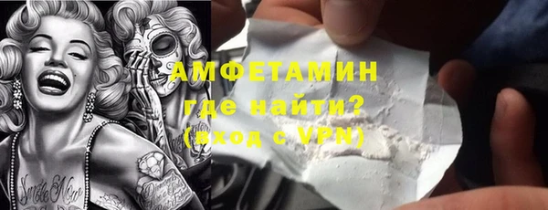 гидра Вяземский