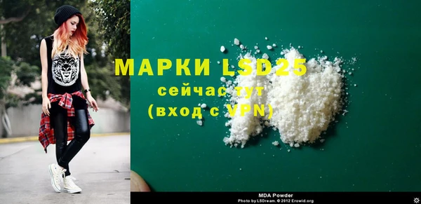 гидра Вяземский