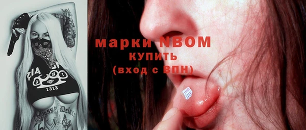 гидра Вяземский