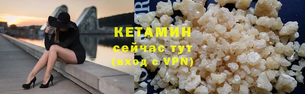 гидра Вяземский