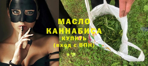 гидра Вяземский