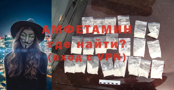гидра Вяземский