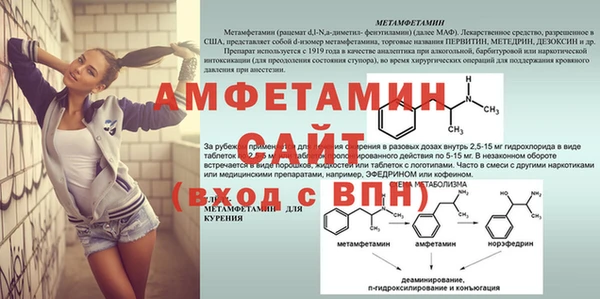 гидра Вяземский