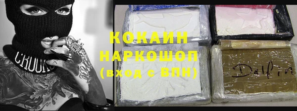 стаф Дмитровск