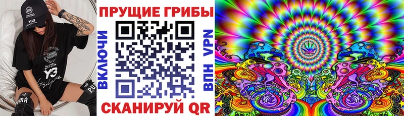 Галлюциногенные грибы Magic Shrooms  хочу   дарк нет наркотические препараты  Дрезна 